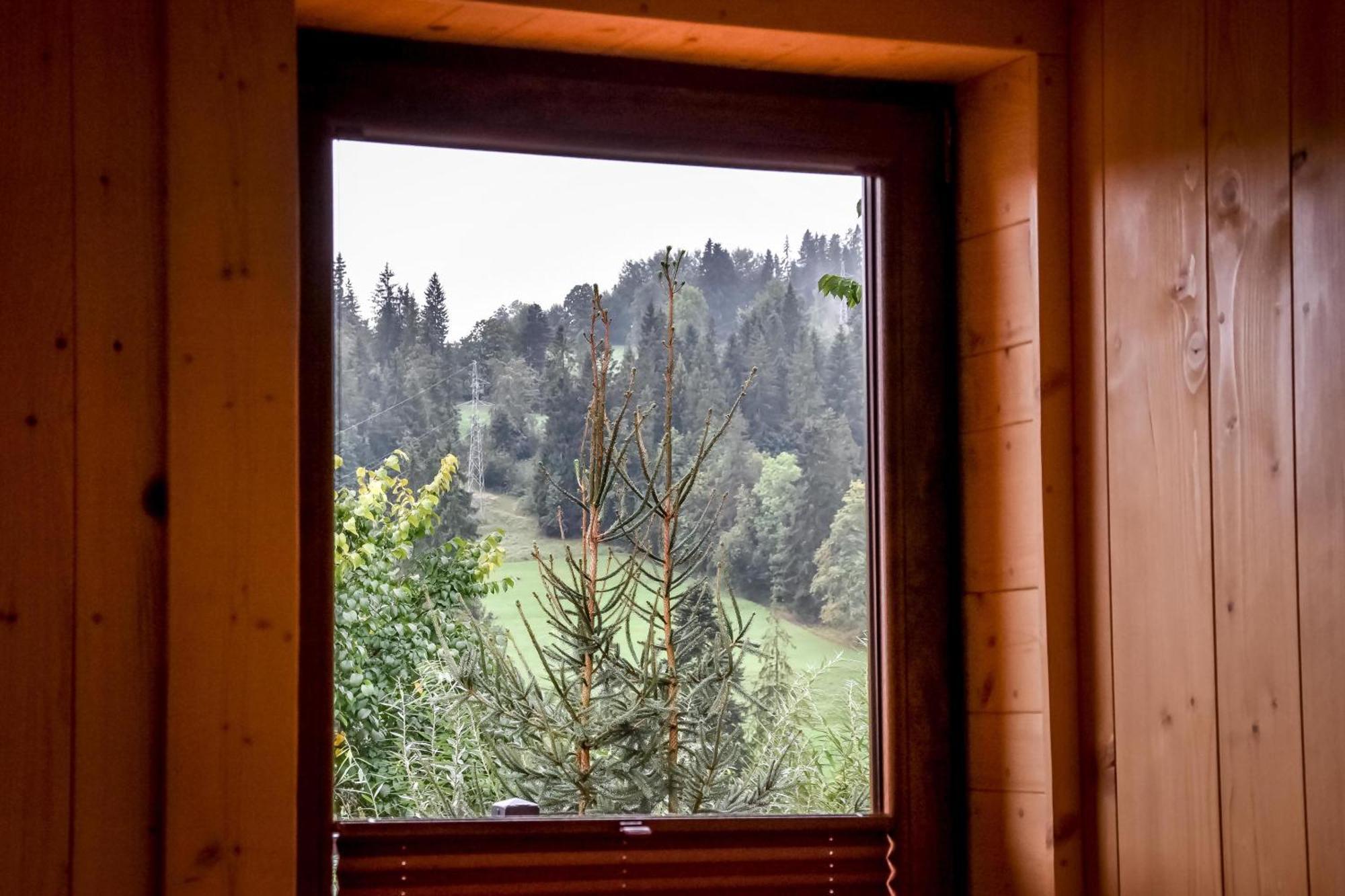 Domek Jatka No 1 Zakopane Exterior photo